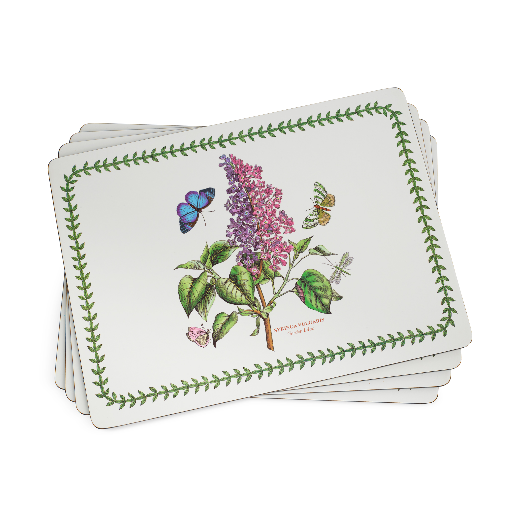 Pimpernel Botanic Garden Placemats Set of 4 PimpernelInternational